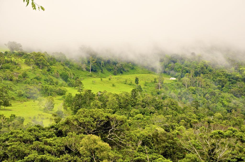 Escarpment Retreat & Day Spa For Couples Núi Tamborine Ngoại thất bức ảnh